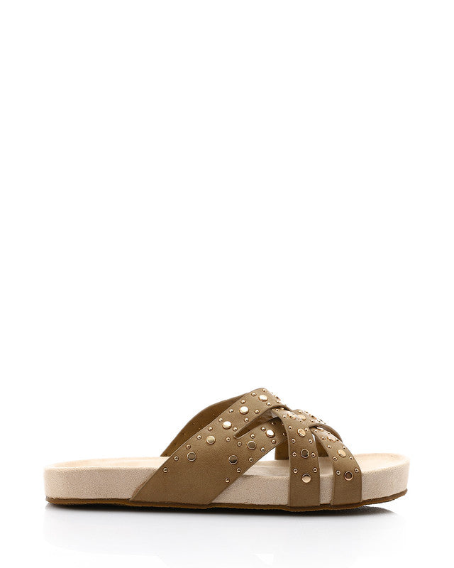 FAN-DJTV-012 Taupe Studded Slipper
