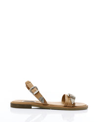 HOT-DJTV-004 Decorative Buckle Dark Flat Sandal