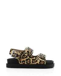 KND-DJTV-014 Triple Buckles Leopard Sandal