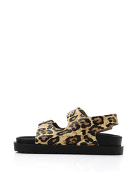 KND-DJTV-014 Triple Buckles Leopard Sandal
