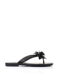 HOT-DJTX-011 Flat Slipper Shoes