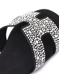 HOT-DJTX-017 Flat Slipper Shoes