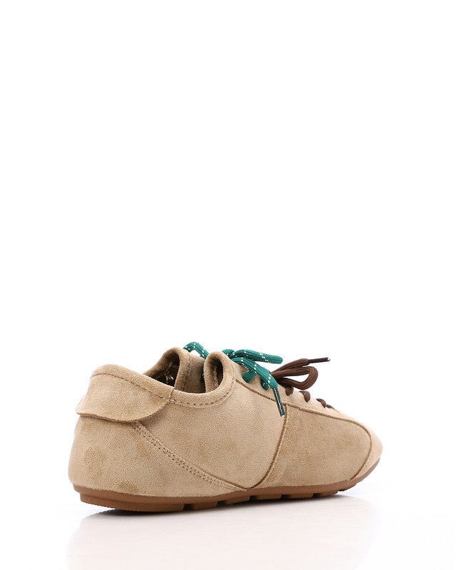 XSM-DVTS-001