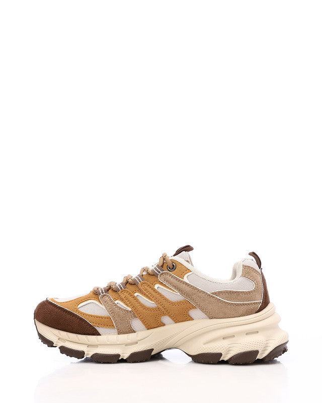 XSM-DVTS-002