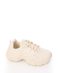 XSM-DVTS-003